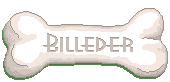 Billeder